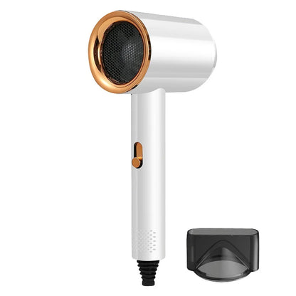 Professional Hair Dryer Brush